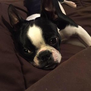 Meet your Posher, Lisa